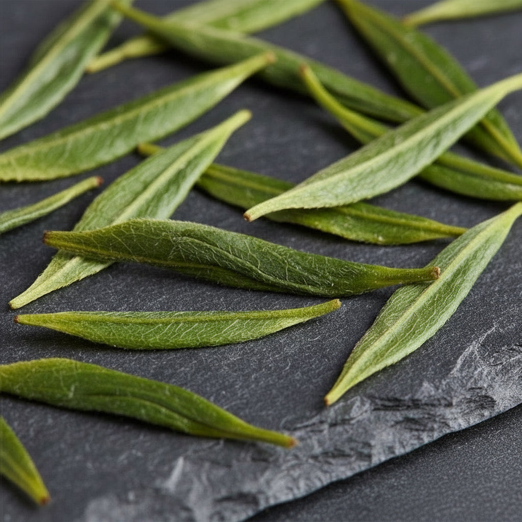 Green tea leaves on a dark slate surface